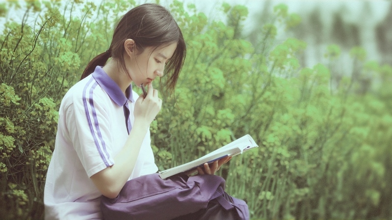 奇迹时代4配置要求高吗 最低推荐配置要求介绍